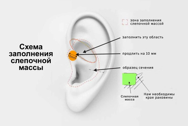 Схема слепков ушей для кастомных наушников System Elements